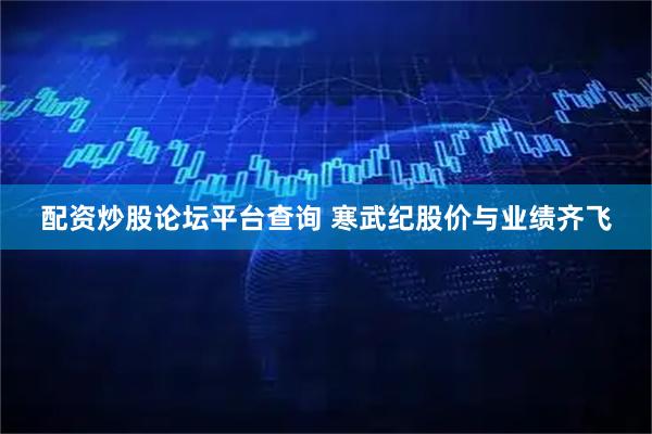 配资炒股论坛平台查询 寒武纪股价与业绩齐飞